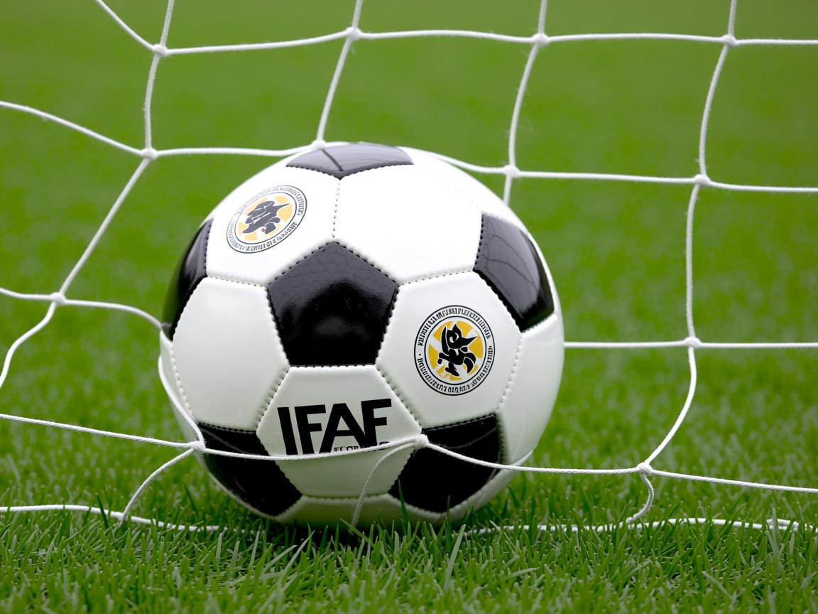 华体会网页登陆-职业联赛营销策略缺乏系统规划，中国职业联赛存在的问题及其解决方法  第3张